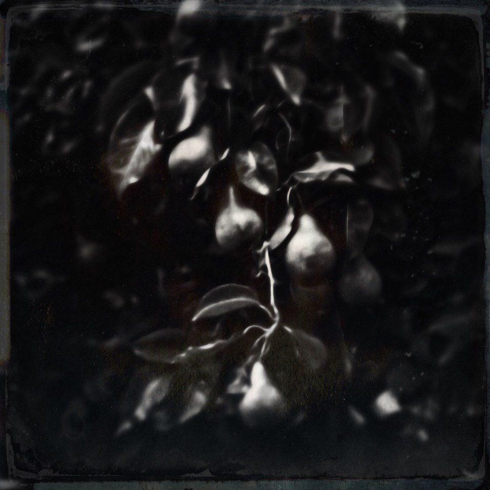 27639257288_e963ef503c_o