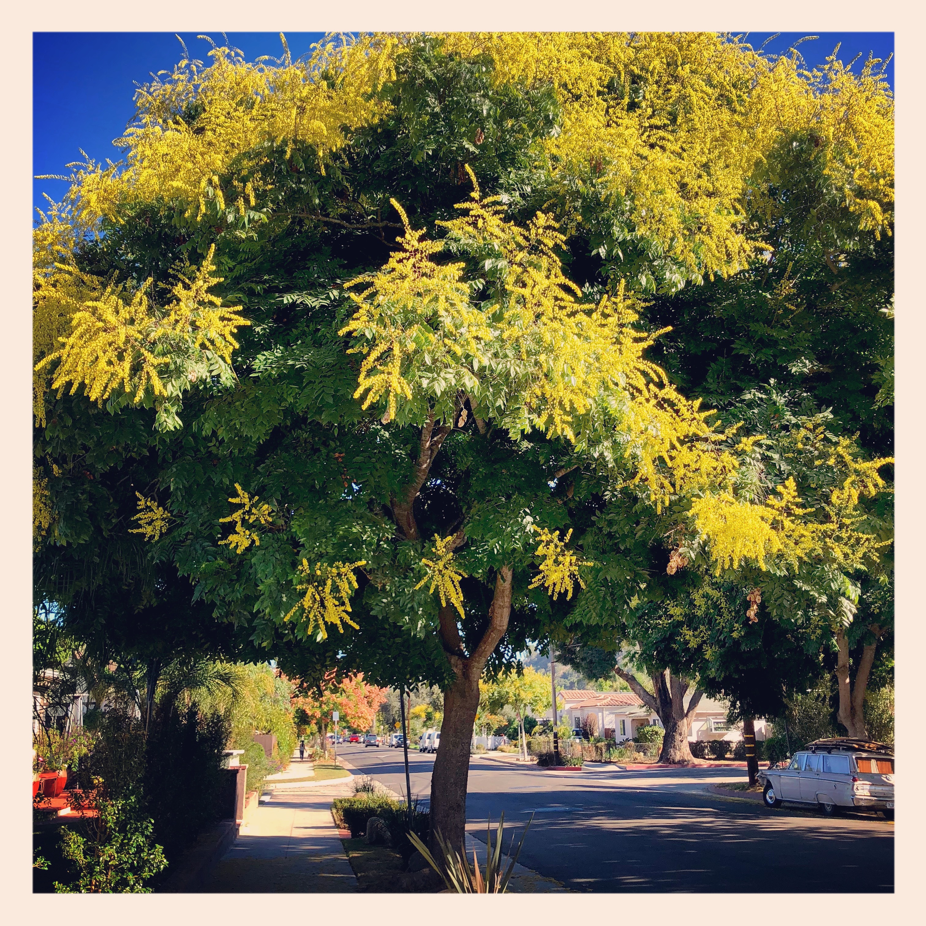 29858579877_e994fbfce2_o